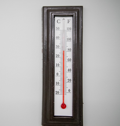 Title Canvas of Cultures A Global Art Celebration Description Join us for an enchanting ev